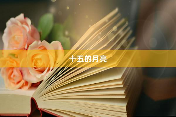 十五的月亮