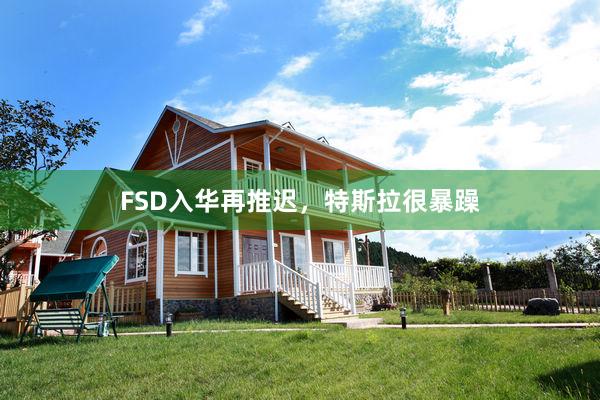 FSD入华再推迟，特斯拉很暴躁