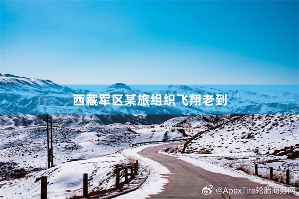 西藏军区某旅组织飞翔老到