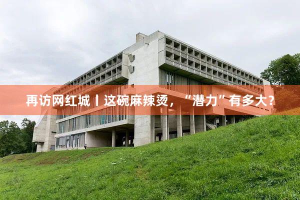 再访网红城丨这碗麻辣烫，“潜力”有多大？
