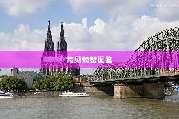 常见螃蟹图鉴