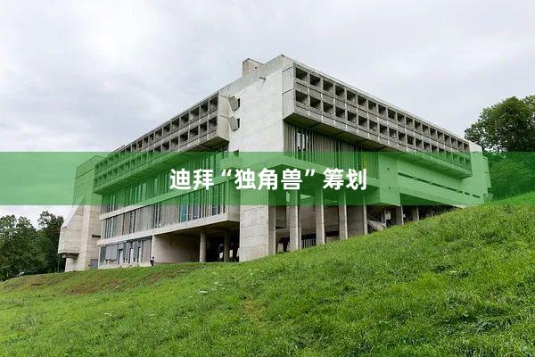 迪拜“独角兽”筹划