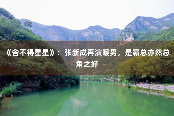 《舍不得星星》：张新成再演暖男，是霸总亦然总角之好