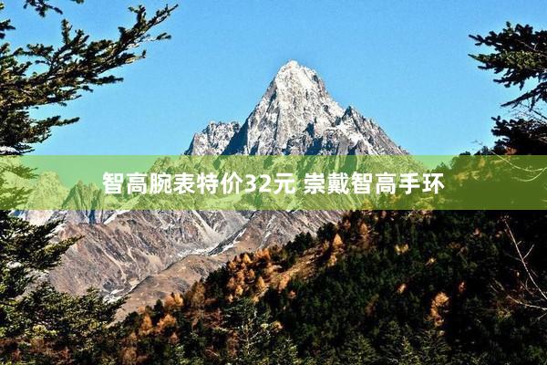智高腕表特价32元 崇戴智高手环