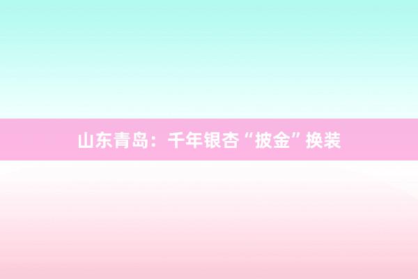 山东青岛：千年银杏“披金”换装