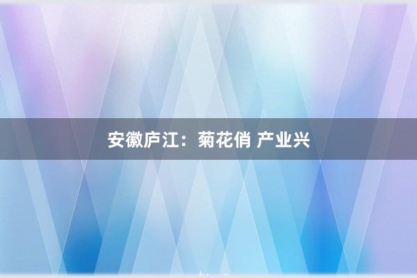 安徽庐江：菊花俏 产业兴