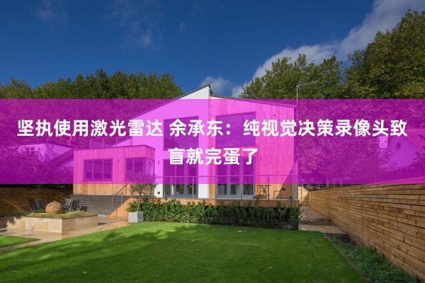 坚执使用激光雷达 余承东：纯视觉决策录像头致盲就完蛋了