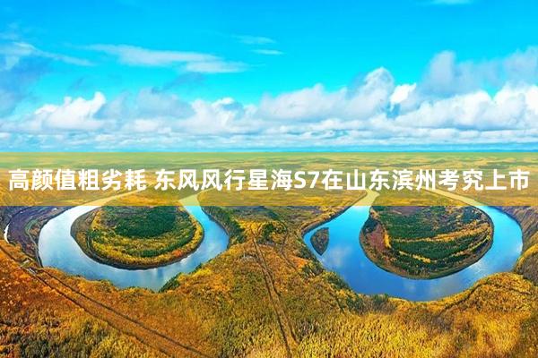 高颜值粗劣耗 东风风行星海S7在山东滨州考究上市