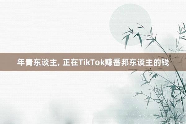 年青东谈主, 正在TikTok赚番邦东谈主的钱