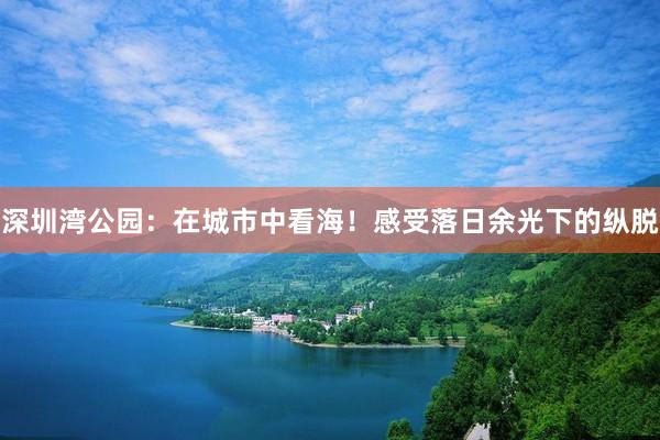深圳湾公园：在城市中看海！感受落日余光下的纵脱