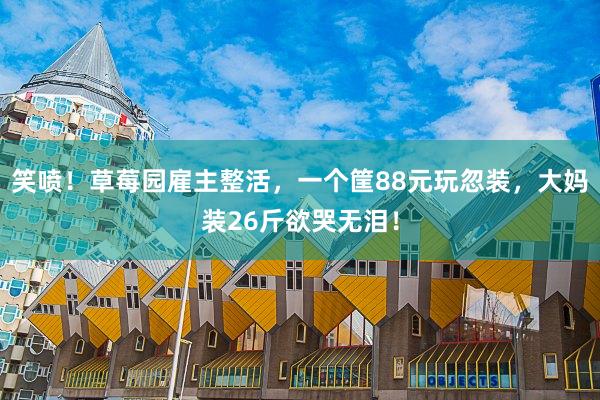 笑喷！草莓园雇主整活，一个筐88元玩忽装，大妈装26斤欲哭无泪！